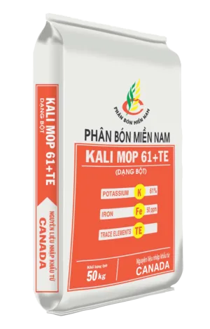 KALI MOP 61+TE (Canada)