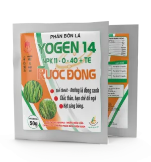 Yogen 14 (NPK 11-0-40+TE)