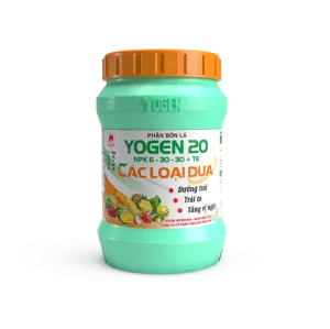 Yogen 20 (NPK 6-30-30+TE)