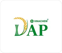DAP