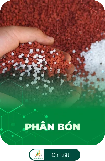 sản phâm 1