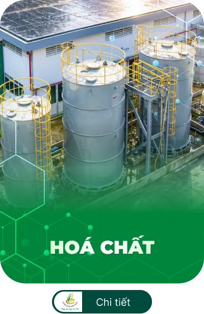 sản phâm 3