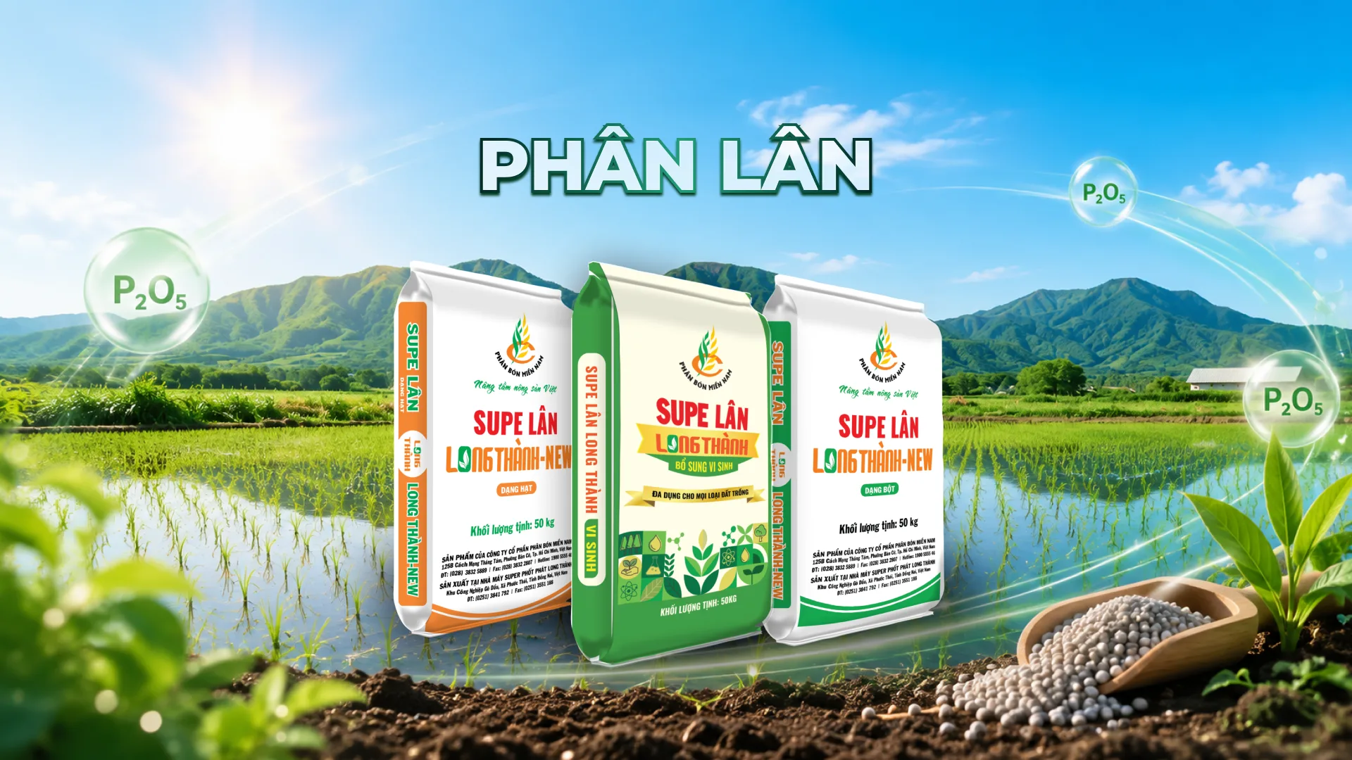 Phân lân