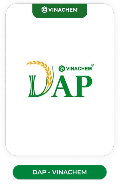 sản phâm 2